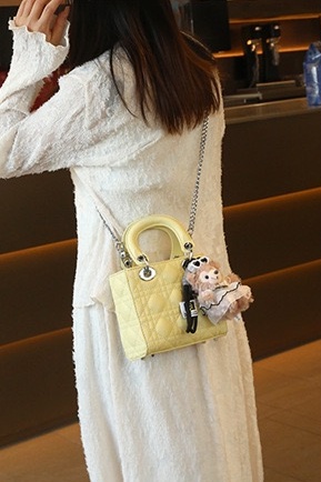 Mini Purse Chain - CLAREGQI Dames mini-handtas met acrylhandvat, metalen